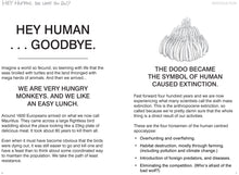 Load image into Gallery viewer, HEY HUMAN: See What You Do!?
