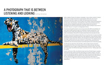 Load image into Gallery viewer, UNSANCTIONED The Art on New York Streets