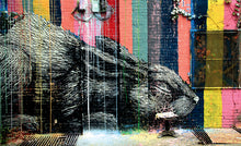 Load image into Gallery viewer, UNSANCTIONED The Art on New York Streets