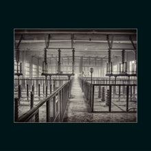 Load image into Gallery viewer, BEAUTY IN DECAY The Art of Urban Exploration