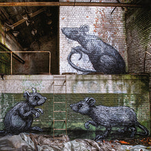 Load image into Gallery viewer, OUT OF SIGHT Urban Art / Abandoned Spaces