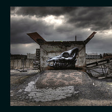 Load image into Gallery viewer, OUT OF SIGHT Urban Art / Abandoned Spaces