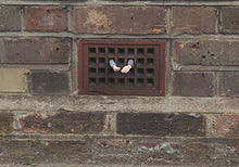 Load image into Gallery viewer, CEMENT ECLIPSES Small interventions in the big city