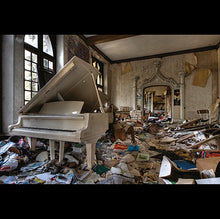 Load image into Gallery viewer, BEAUTY IN DECAY II Urbex