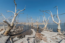 Load image into Gallery viewer, ASK THE DUST Urban Ruin Photography