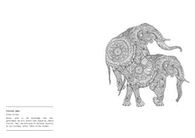Load image into Gallery viewer, THE MINDLESS COLOURING BOOK
