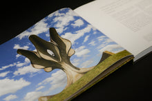 Load image into Gallery viewer, SPOMENIKS