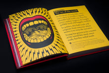 Load image into Gallery viewer, SPINFLUENCE Fake News Special Edition