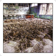 Load image into Gallery viewer, BEAUTY IN DECAY The Art of Urban Exploration
