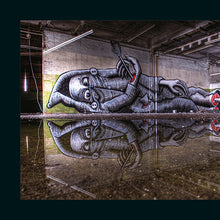 Load image into Gallery viewer, OUT OF SIGHT Urban Art / Abandoned Spaces
